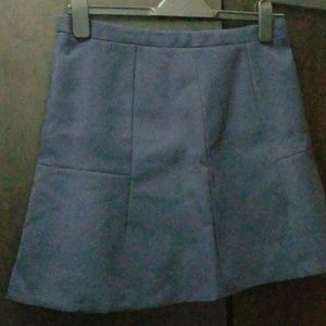 J Crew Skirt